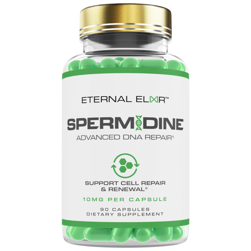 Spermidine Trihydrochloride Capsules 10mg for Healthy Aging