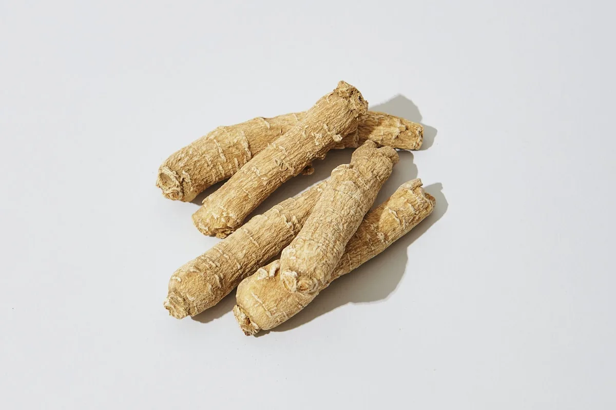 Dried Panax ginseng roots on a pale background
