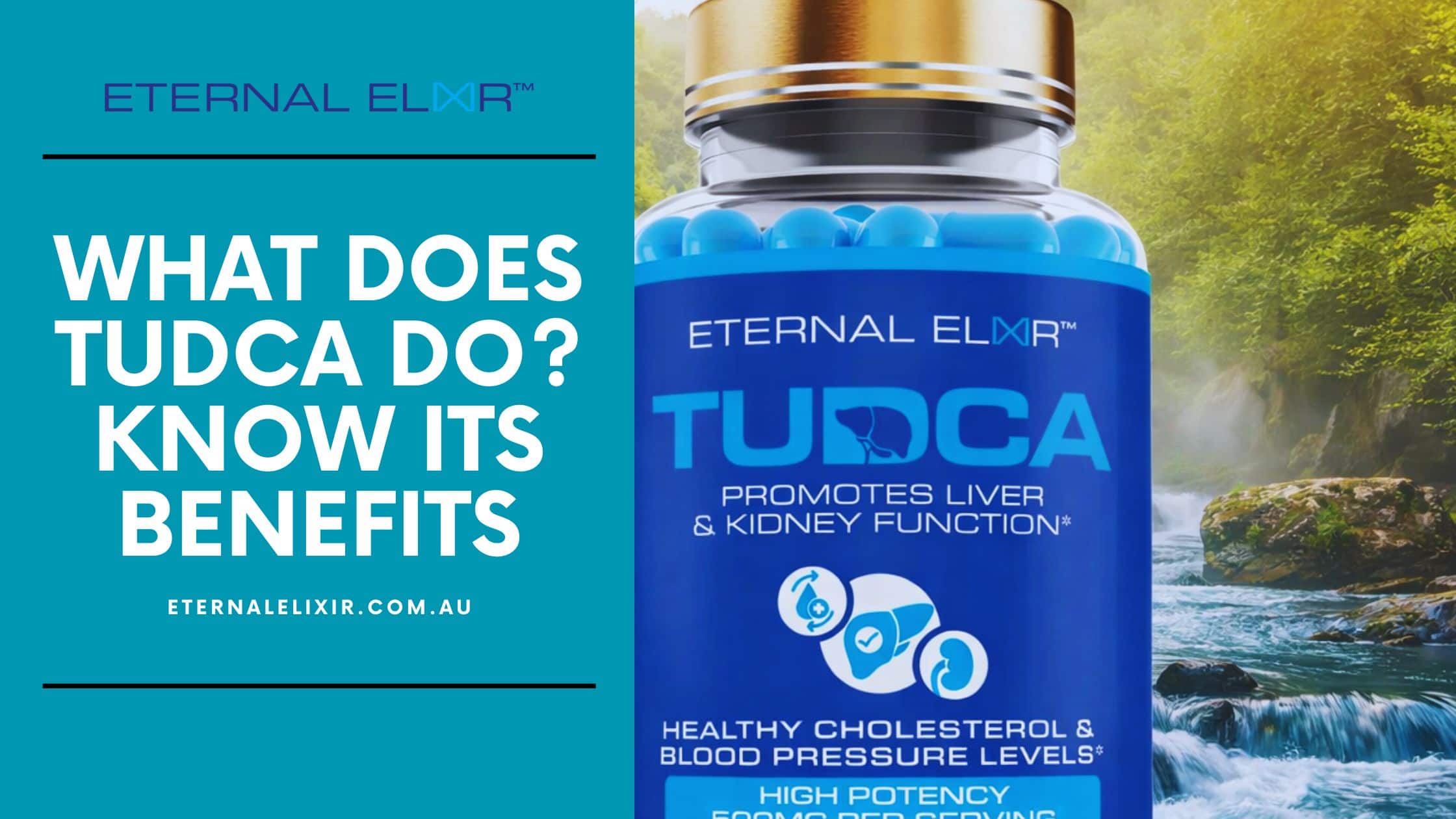 Know What Does TUDCA Do