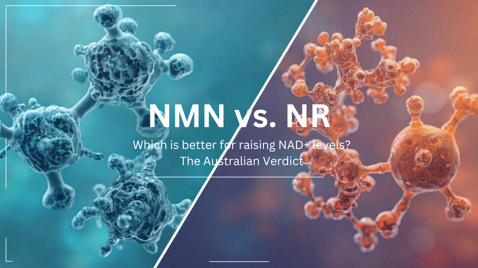 Unlocking Your Cellular Potential: The Ultimate Guide to NAD+ Boosters: NMN, NR, and the Future of Longevity | Eternal Elixir Blog