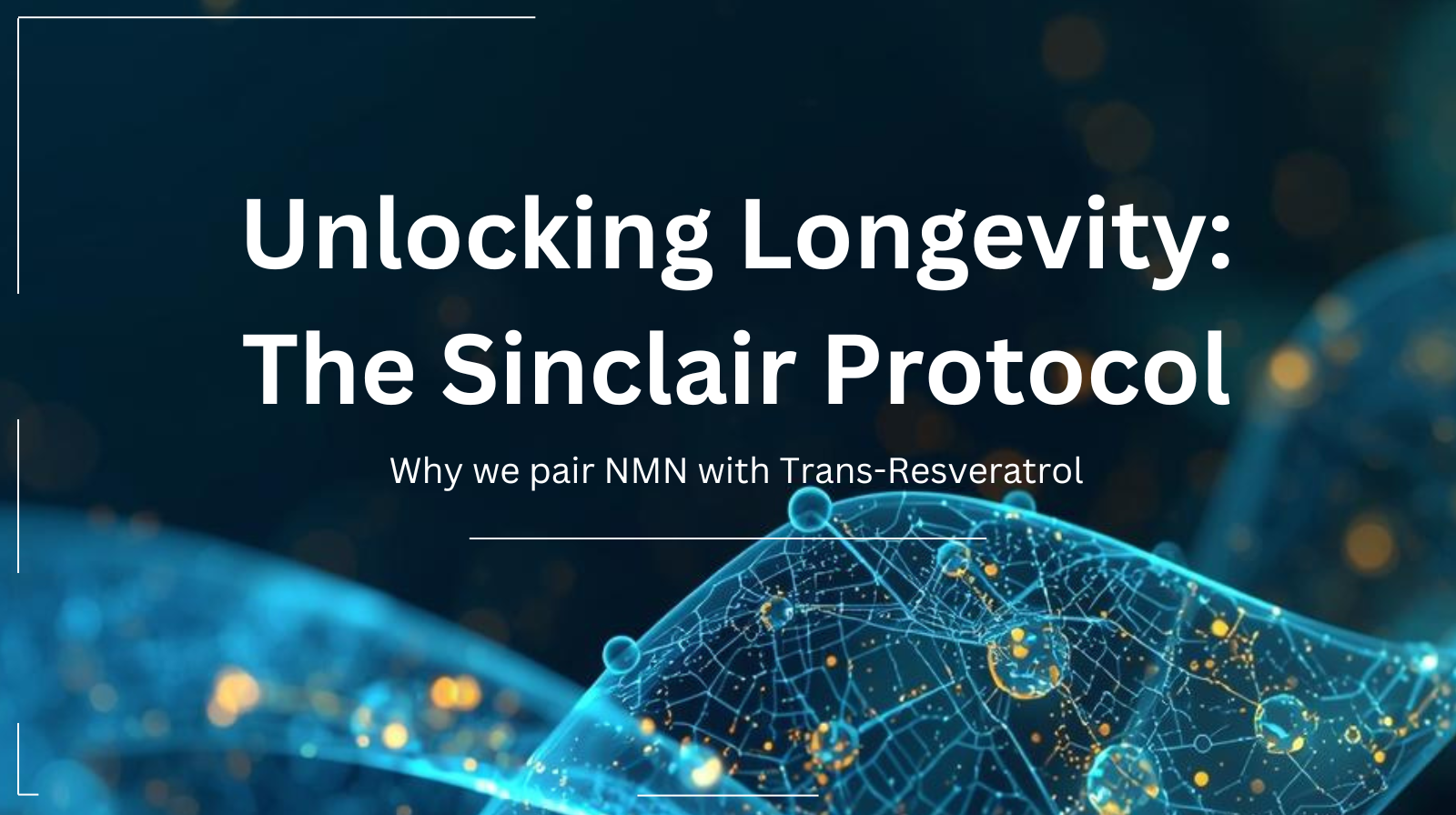 The Sinclair Protocol: Why Pair NMN with Trans-Resveratrol?