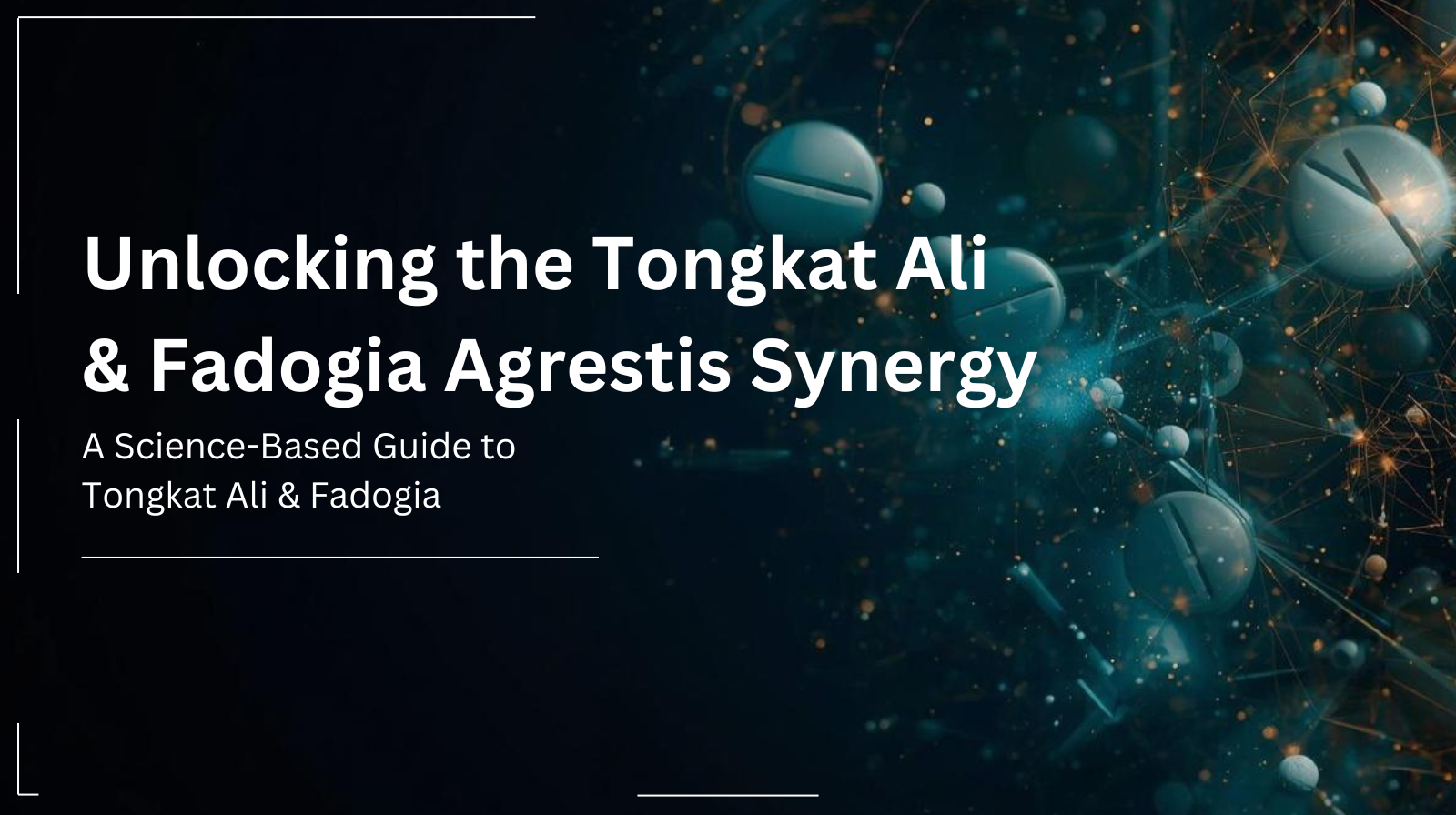 The Tongkat Ali and Fadogia Agrestis Synergy: Why 2010mg Matters