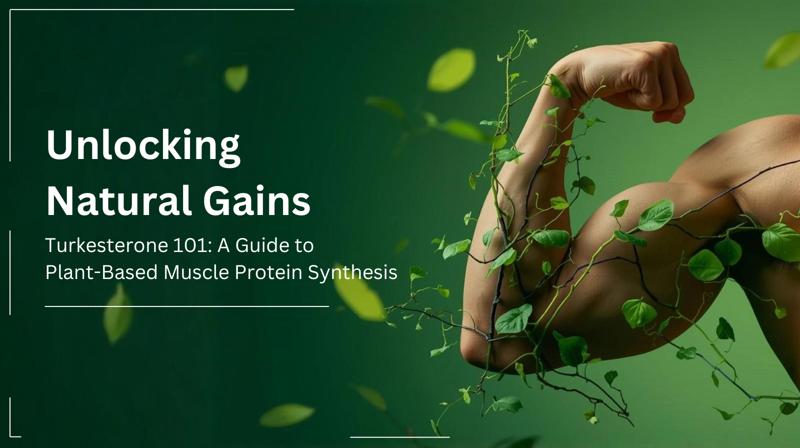 Unlocking Natural Gains: Turkesterone 101 & Protein Synthesis