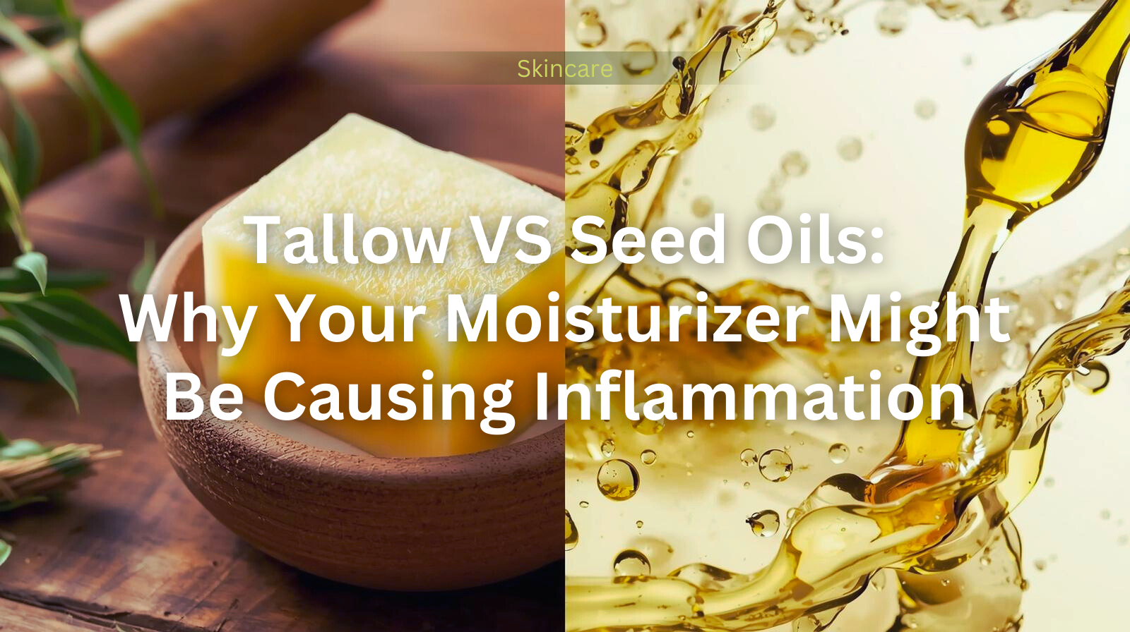 tallow vs seed oil