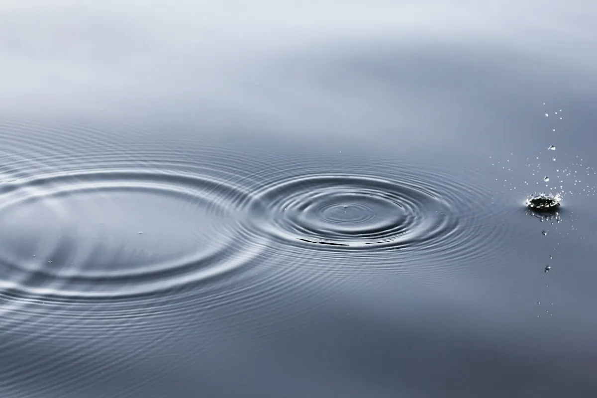 Concentric ripples on a calm water surface