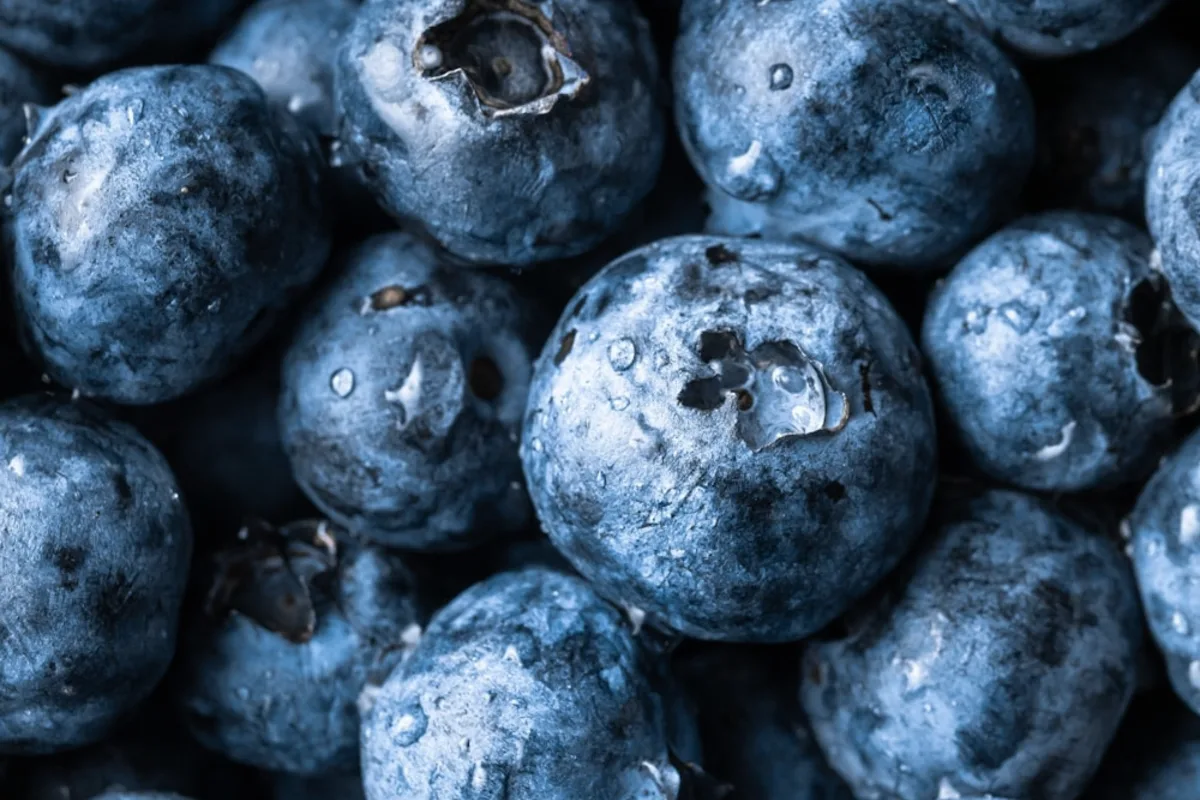Blueberries representing pterostilbene botanical sources