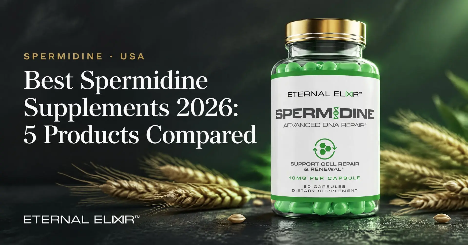 Best Spermidine Supplements 2026: 5 Products Compared – Eternal Elixir Spermidine 10mg bottle