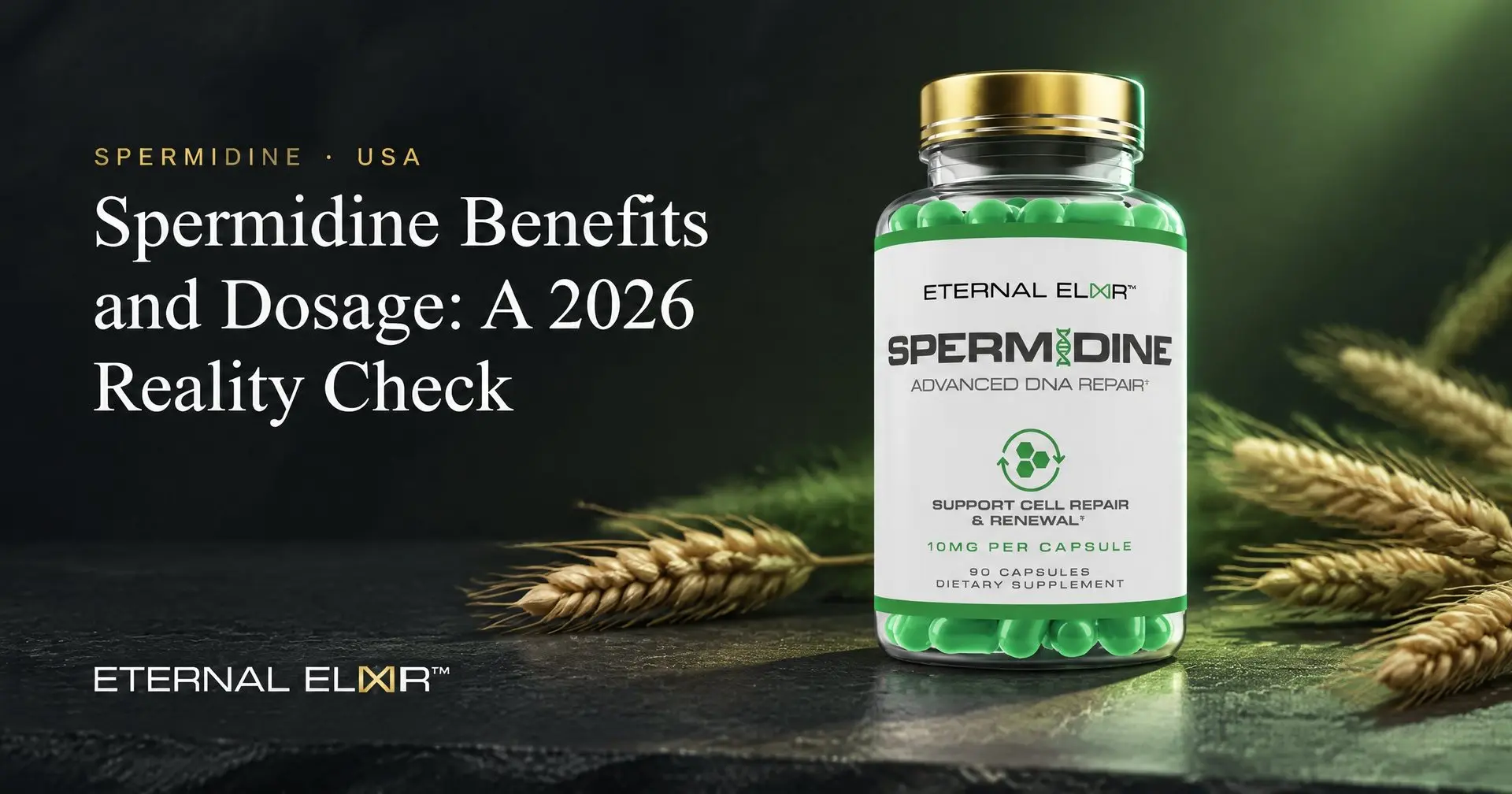 Spermidine Benefits and Dosage: A 2026 Reality Check – Eternal Elixir Spermidine 10mg bottle